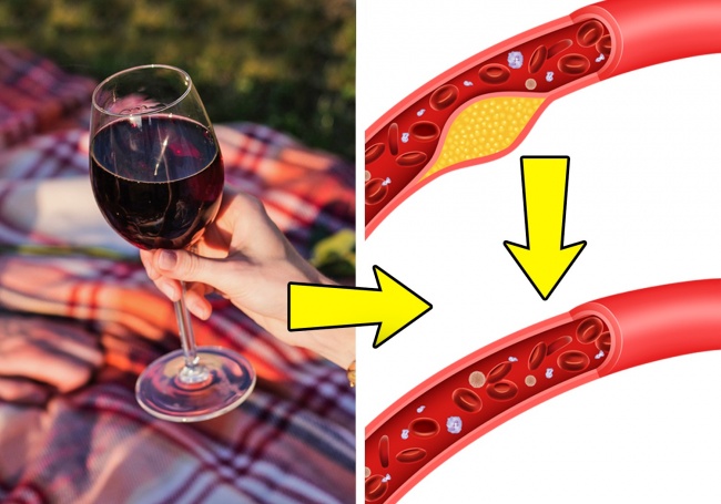 Rượu vang giúp cải thiện hệ tiêu hóa